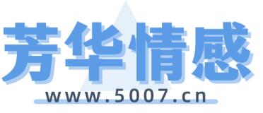 香港蜘蛛网公司